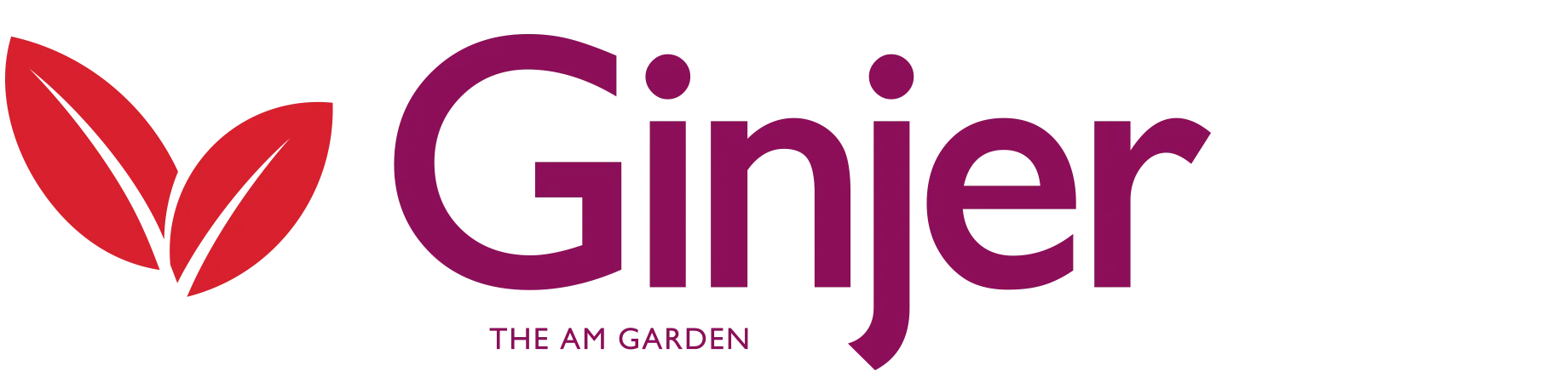 Ginjer